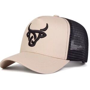 Southwestern aztec HORN mesh back unisex baseball hat country vibe